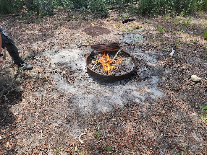 Huckleberry Island Campsite Picture 7