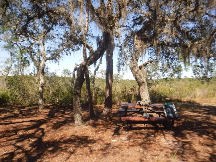 Huckleberry Island Campsite Picture 5