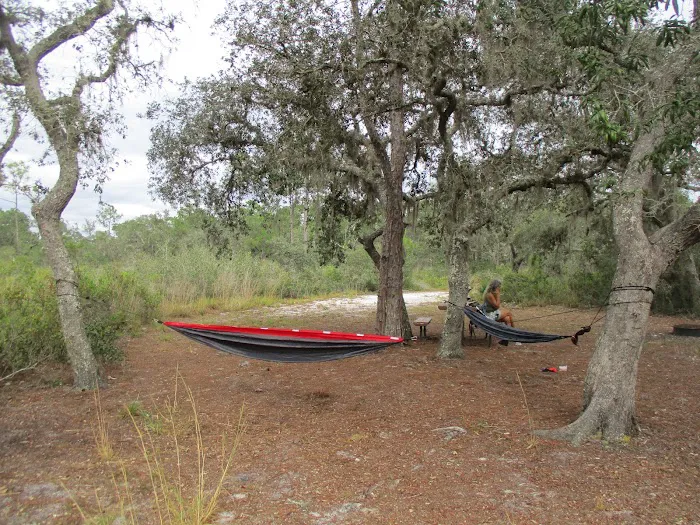 Huckleberry Island Campsite Picture 9