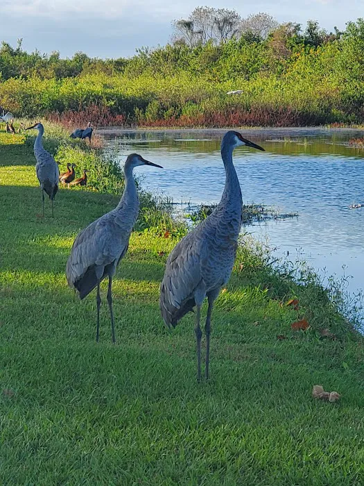 Lake Toho Fish Camp Picture 1