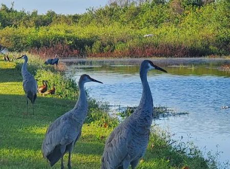 Lake Toho Fish Camp