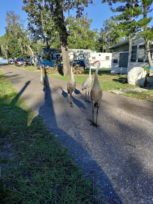 Paradise Island RV Park Picture 7