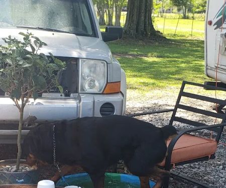 Lindco rv park