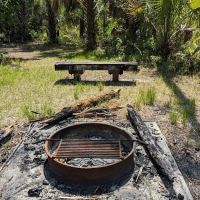 Tiger Branch Camp ico