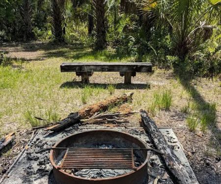 Tiger Branch Camp