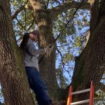 Powers RV Park, Homewood Holdings