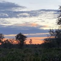 Camp Cachimba ico
