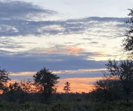 Camp Cachimba