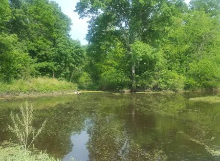 Bardwell RV Park