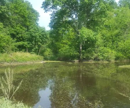 Bardwell RV Park