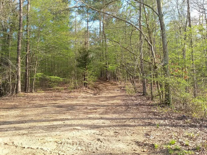 Wallace Creek Campground Picture 8