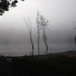 Shoey Camp grounds