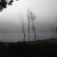 Shoey Camp grounds ico