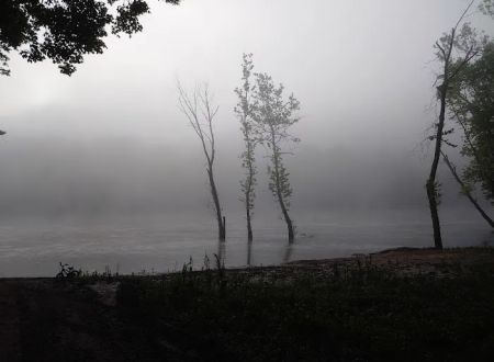 Shoey Camp grounds