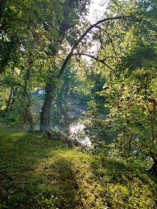 Country View Acres Picture 4
