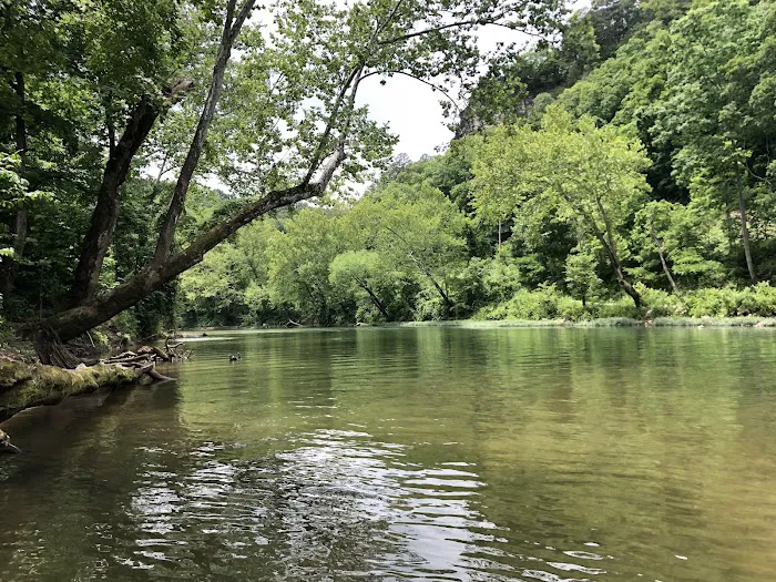 Boiling Spring Campground, LLC Picture 3