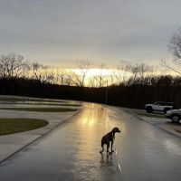 St Robert RV Park ico
