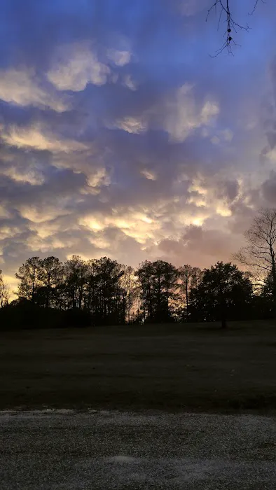 Bay Springs RV Park Picture 2