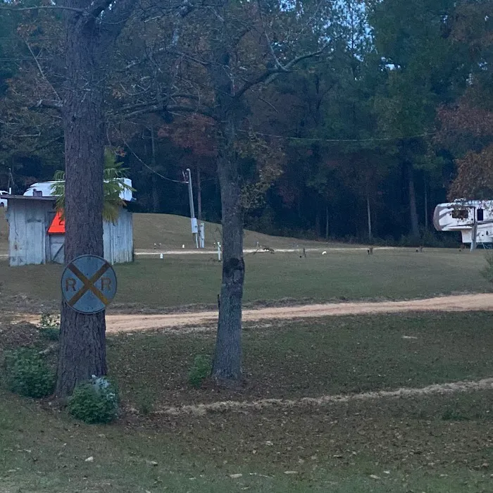 Bay Springs RV Park Picture 9