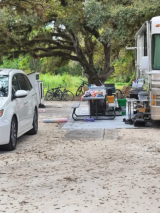 Sabal Palm RV Resort Picture 4