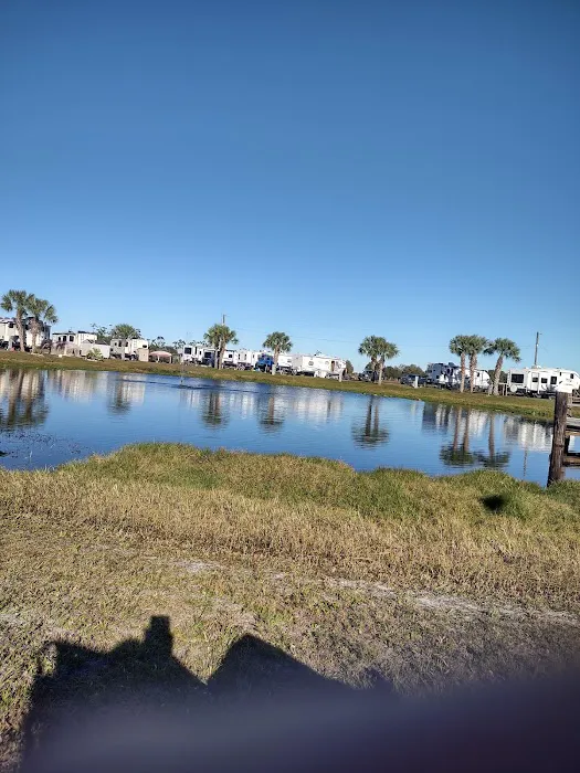 Sabal Palm RV Resort Picture 2