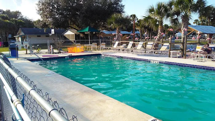 Sabal Palm RV Resort Picture 6