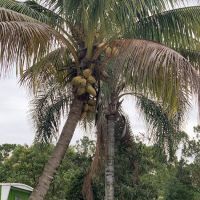 St Lucie Mobile Village ico