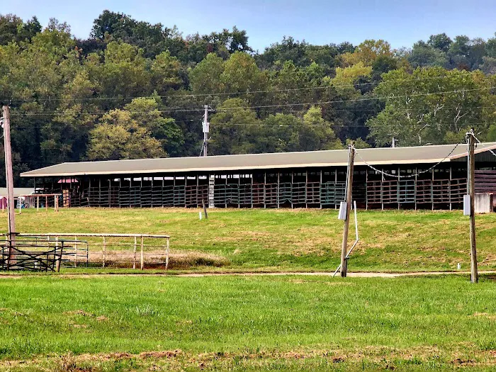 4-J Big Piney Horse Camp Picture 8