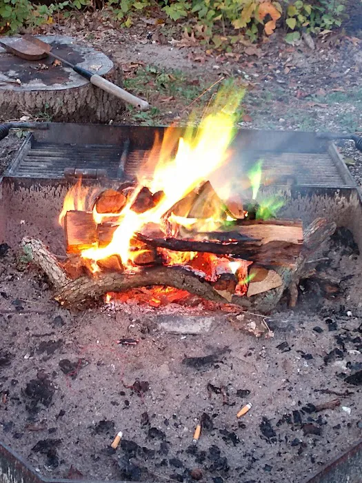 Cuivre River Camp Picture 1