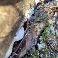 Cuivre River State Park Campground ico