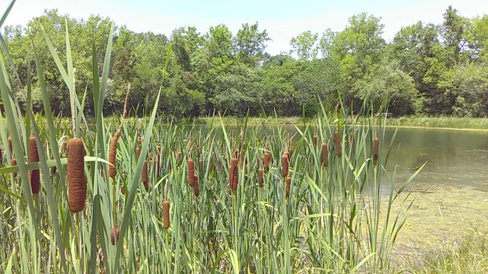 Jonesburg Gardens Campground Picture 3