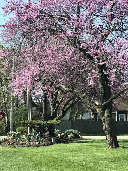 Oak Park Estates Picture 3