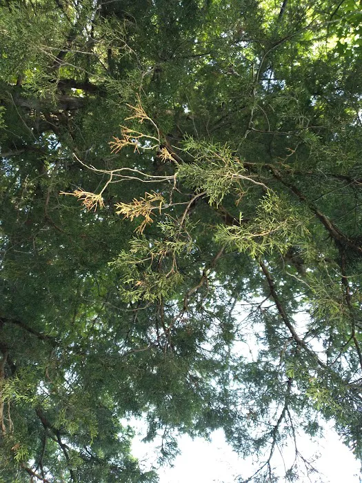 Twin Pines Campground Picture 2