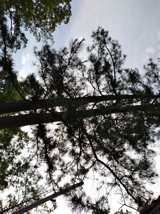 Twin Pines Campground Picture 3