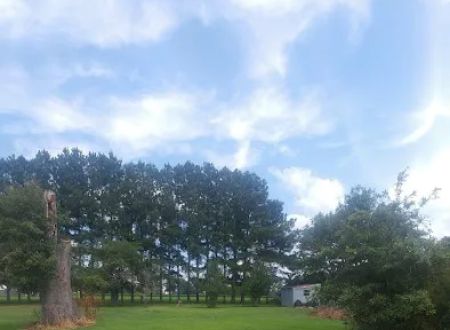 Northtown RV Park