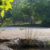 Shade Tree Resort ico