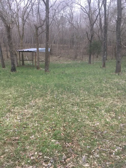 Shade Tree Resort Picture 9