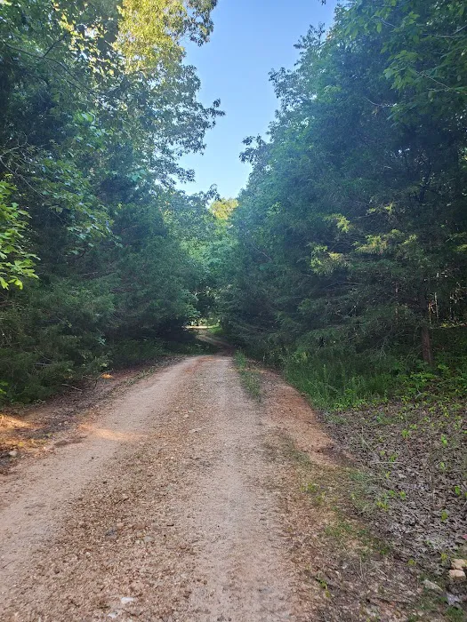 Shade Tree Resort Picture 10