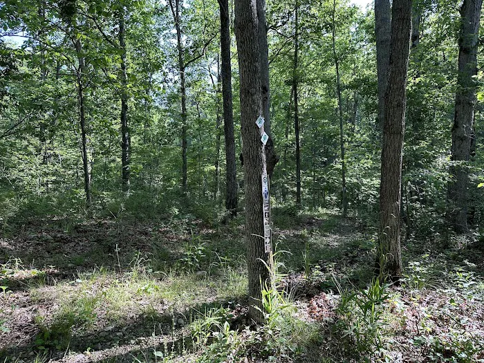 Ozark Trail Eleven Point Terminus Picture 1
