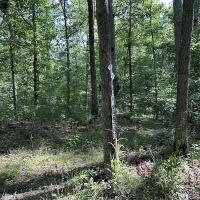 Ozark Trail Eleven Point Terminus ico