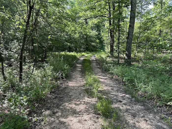 Ozark Trail Eleven Point Terminus Picture 2