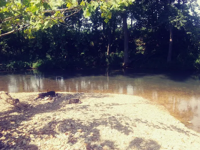 Warm Fork Conservation Area Picture 2