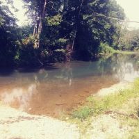 Warm Fork Conservation Area ico