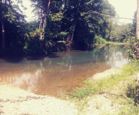 Warm Fork Conservation Area