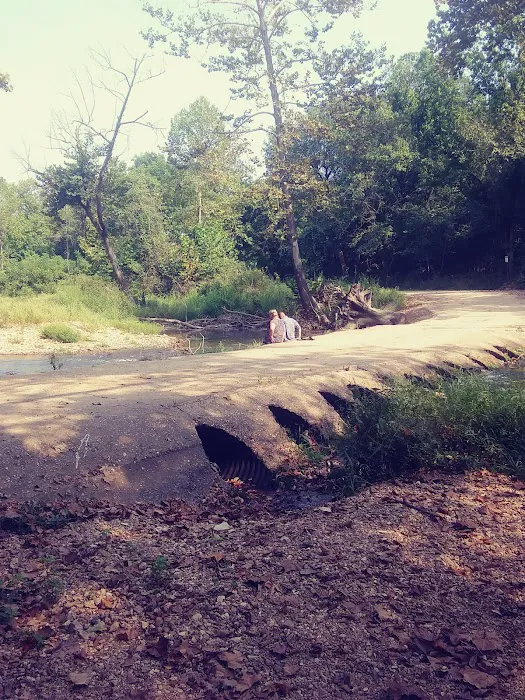 Warm Fork Conservation Area Picture 4