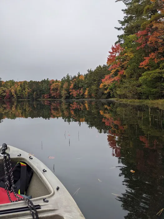 Bose Lake Campsite Picture 1