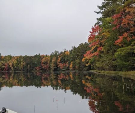 Bose Lake Campsite