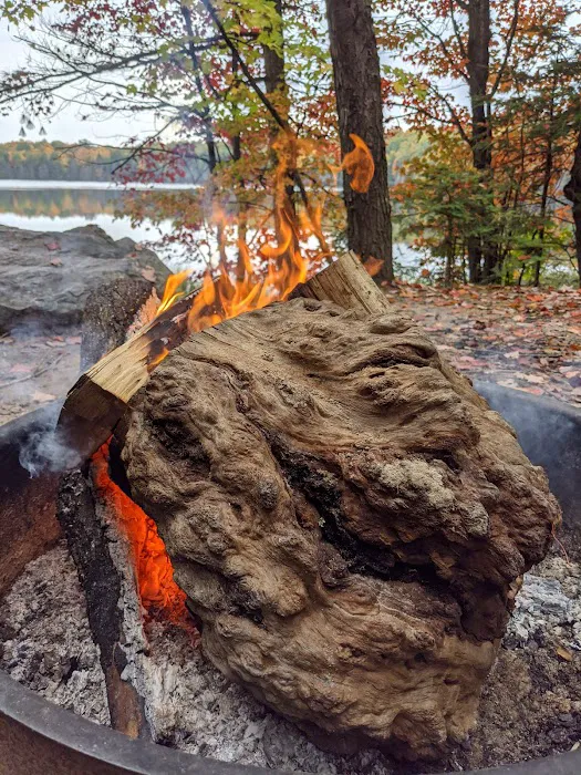 Bose Lake Campsite Picture 9