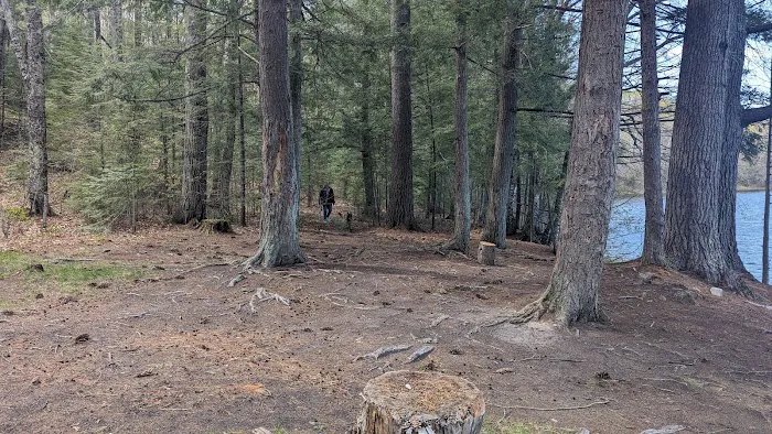 Quartz Lake Campgroup Picture 2