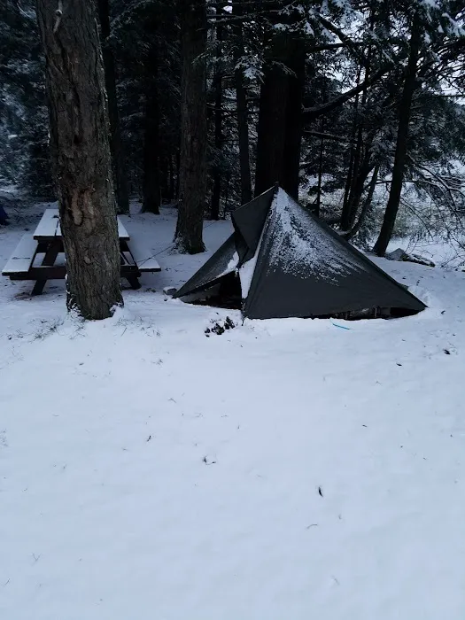 Quartz Lake Campgroup Picture 5